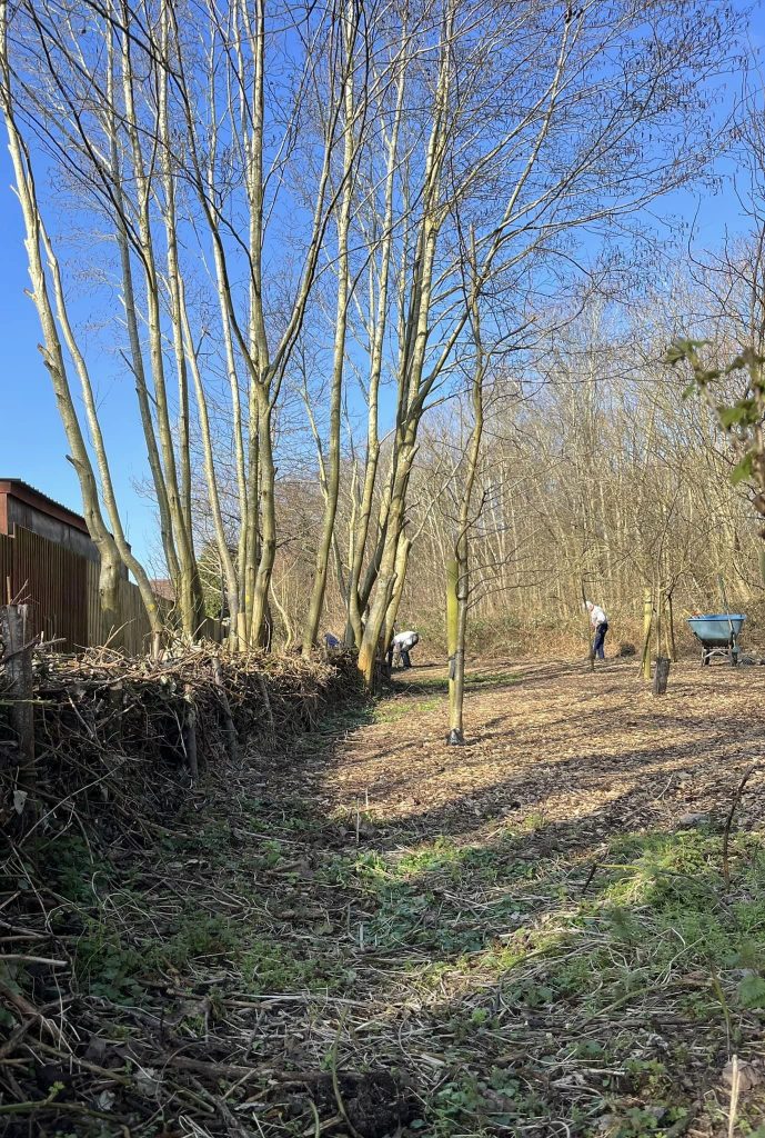 Woodvale Woodlands Woodvale & Ainsdale Community Association